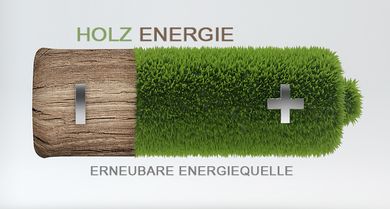 Energieholz Fleischmann - Brennstoff der Zukunft
